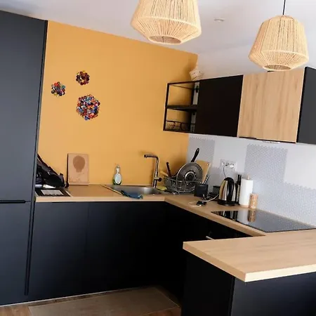 Homestay Chambre Spacieuse Et Lumineuse Chez L'habitant Nice